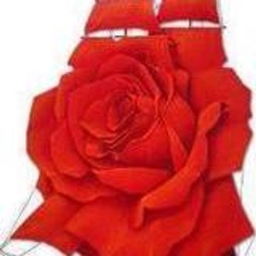 YALNIZKURTBEY YALNIZKURT