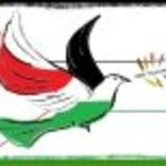 zineb