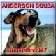 Anderson