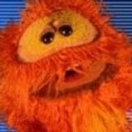 Transylvania Television