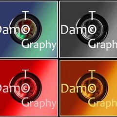 Damotography