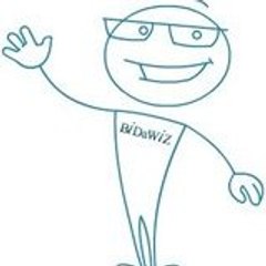 BIDaWIZ