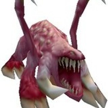 zaza zaza