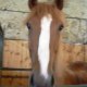 manou45320