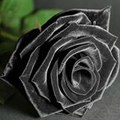 rahmeti_bereket