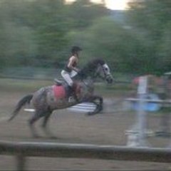 Equidia06