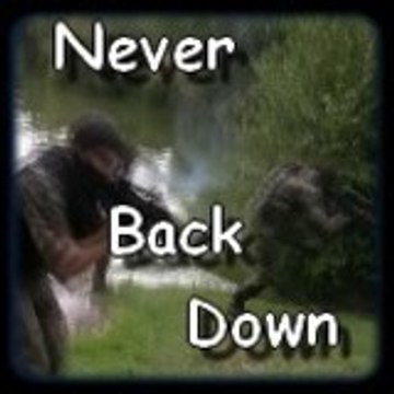 Never Back Down