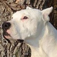 face2night face2night