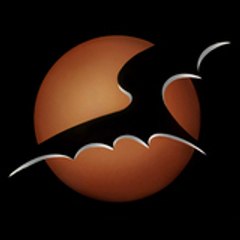 Bat in the Sun