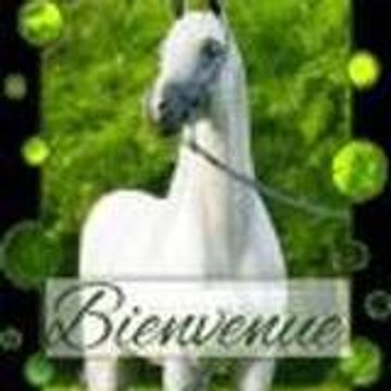 faïwenn bozor