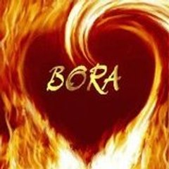 boratr34