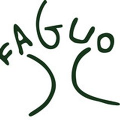 FAGUO SHOES