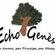 Echo Genèse