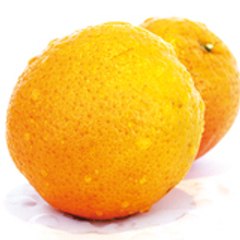 Globe Pulp