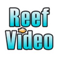 reefvideo