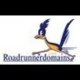 Roadrunner Domains