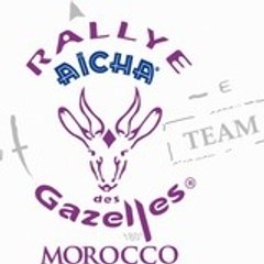 eco gazelles