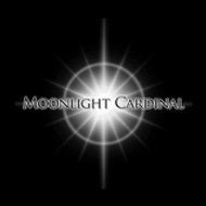 Moonlight Cardinal