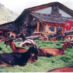 3 vallées Immobilier