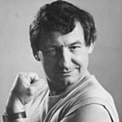 moijedis moijedis
