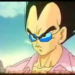 vegetum paul