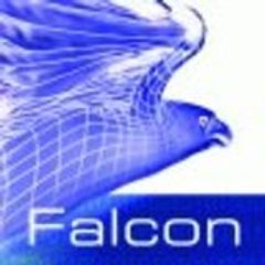 Falcon533