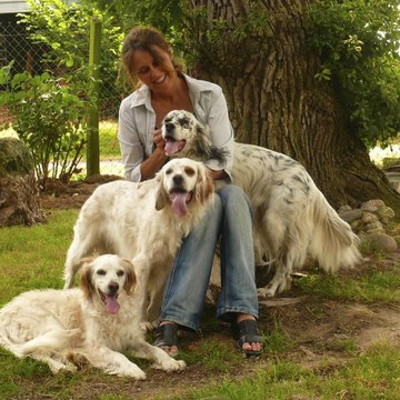 entre-chien-et-nous