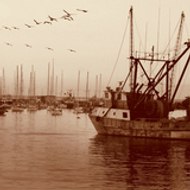 RESTAURANT BAR A HUITRES à PARIS