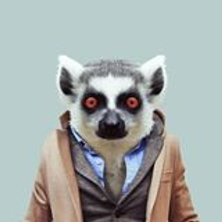 Dailymotion profile picture for @radioed