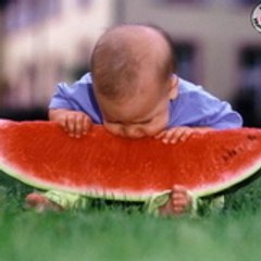 rachid_rachid