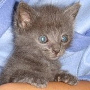 christiane brimicombe