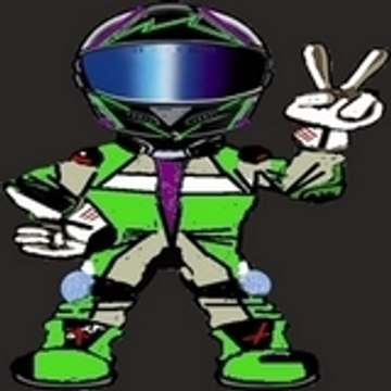 Team-Renol Team-Renol