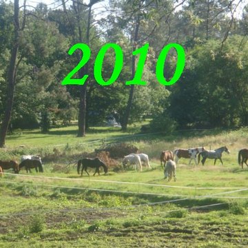 Centre équestre de Pissos