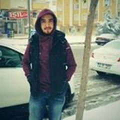 Sinan Yetişgin