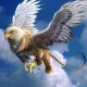 ilax selah