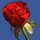 yarali_kalp