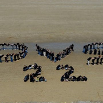 OVS st-brieuc