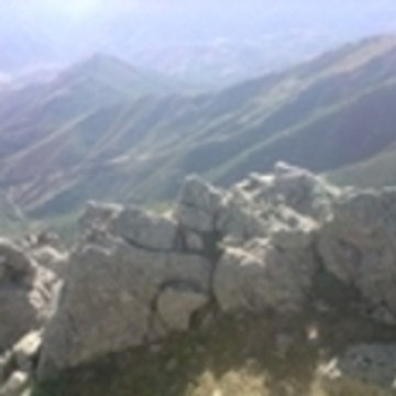 Corsicaillou