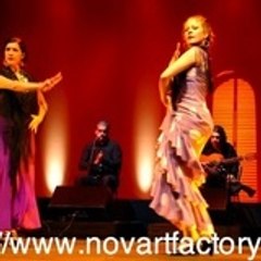 NovArt75