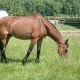 saphir je t'aime