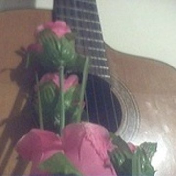 mrguitarlove