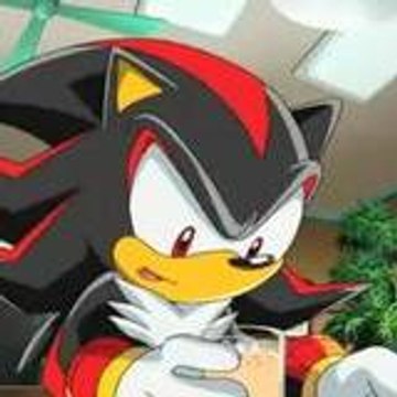 shadownew1