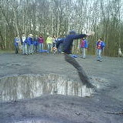 vertvetlesinge