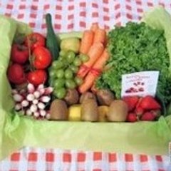 Panier Primeurs