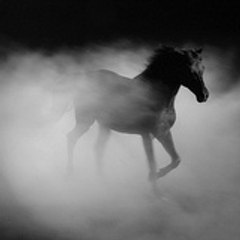 thedarkbreededhorse