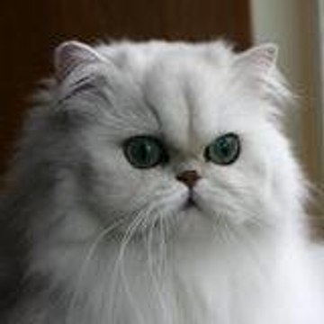 deborah
