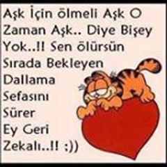orhan5228