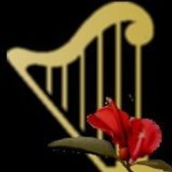 El rincón de Anahí