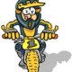 Papabmx974