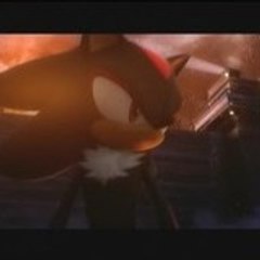 Shadow The Hedgehog